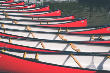 Waterton, Alberta, Canada - July 5, 2022: Row of red canoes for rent on Cameron Lake in Waterton Lakes National Park
