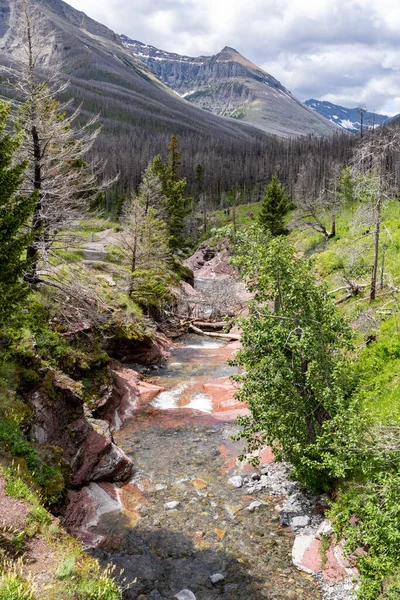 Red Rock Canyon Area Waterton Lakes National Park Canada — Stok Foto