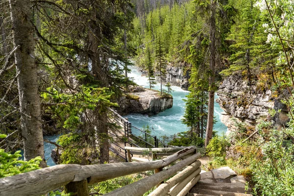 Kootenay Ulusal Parkı Kanada 'daki Mermer Kanyonu' nda yol ve merdivenler.