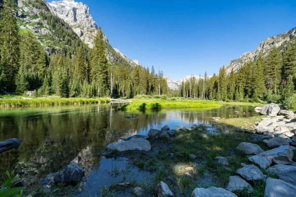 Teich Einem Sommermorgen Auf Dem Cascade Canyon Trail Grand Teton — Stockfoto