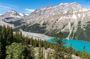 Yazın Alberta Kanada 'da Peyto Gölü