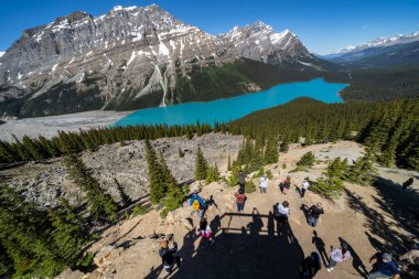 Banff, Alberta, Kanada - 12 Temmuz 2022: Turistler bir yaz günü Peyto Gölü 'nde fotoğraf çekiyorlar