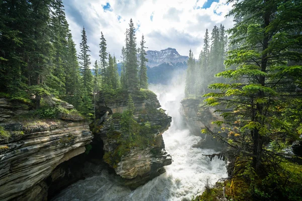 Vista Mattutina Molto Nebbiosa Della Cascata Athabasca Falls Nel Jasper — Foto Stock