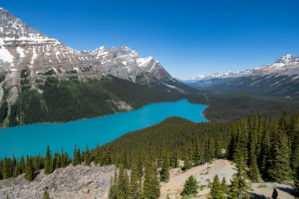 Λίμνη Peyto Στο Εθνικό Πάρκο Banff Στον Καναδά — Φωτογραφία Αρχείου