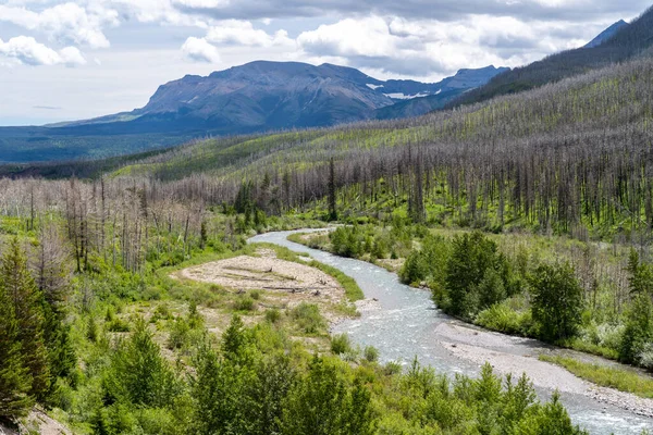 Sungai Mengalir Melalui Taman Nasional Waterton Lakes Alberta Kanada Selama — Stok Foto