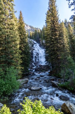 Güneşli bir sabahta Grand Teton Ulusal Parkı 'nda Gizli Şelale Şelalesi