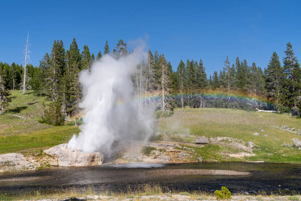 Riverside Geyser in Yellowstone National Park erupts with a full rainbow
