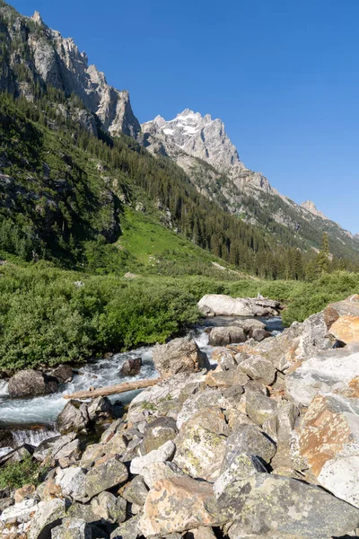 Bellissimo Torrente Che Attraversa Sentiero Cascade Canyon Nel Grand Teton — Foto Stock