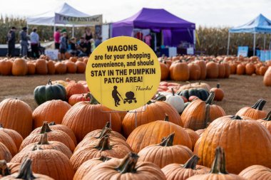 Balkabağı tarlasındaki müşterilere arabaları balkabağı tarlasında tutmalarını hatırlatın.