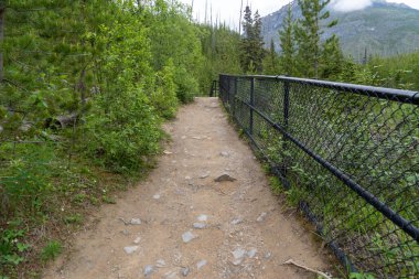 Kootenay Ulusal Parkı 'ndaki Marble Canyon yolunda eskrim.