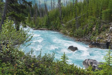 Kootenay nehri boyunca akan güzel akıntılar British Columbia Kanada 'daki Marble Canyon' da
