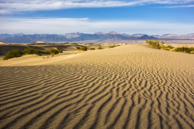 Mesquite düz tepeleri