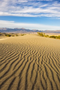 Mesquite düz tepeleri