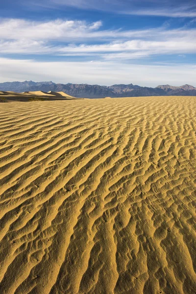 Mesquite platt sanddyner — Stockfoto