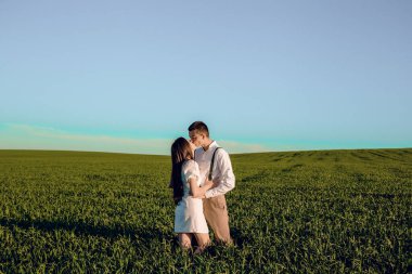 Genç ve güzel bir çift oturmuş çalılarla yeşil bir alanda sarılıyorlar. Güneşli bir yaz gününde yeşil tarlada yürümek.