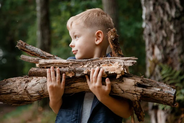 Enfant Ramasse Bois Chauffage Dans Forêt Petit Bûcheron Garçon Cherche Images De Stock Libres De Droits