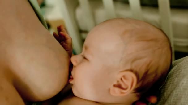 Mother Feeding Breast Her Baby Home Baby Eating Mothers Milk — Videoclip de stoc