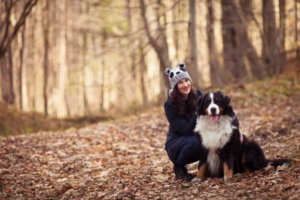 Piękna dziewczyna z psem w jesień las. Berneński pies — Zdjęcie stockowe