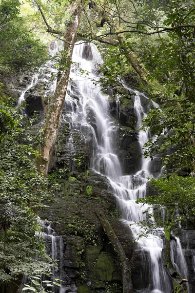 Красивый Водопад Тропическом Дождевом Лесу Коста Рика — стоковое фото
