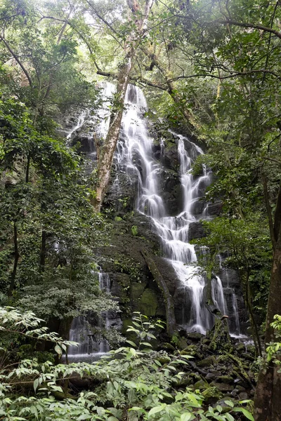 Beautiful Waterfall Tropical Rain Forest Costa Rica — Stock Photo, Image