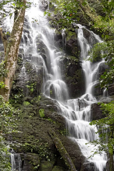 Beautiful Waterfall Tropical Rain Forest Costa Rica — Stock Photo, Image