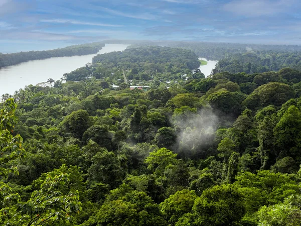 从上面看哥斯达黎加Tortuguero河流域 免版税图库照片