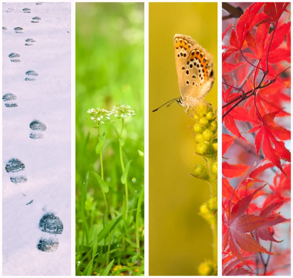 Four seasons collage