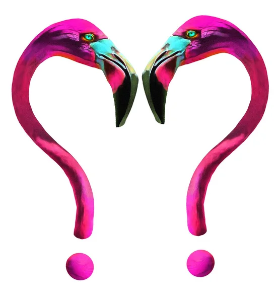 Flamino Två Frågetecken Två Rosa Och Magenta Flamingos Näbb Att — Stockfoto