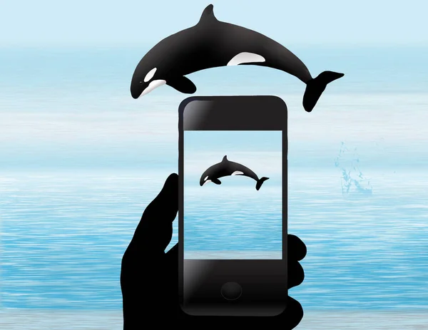 Cell Phone Photography Featured Here Phone Hand Photo Leaping Orca — Photo
