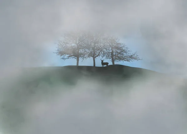 Вершине Холма Среди Деревьев Тумане Изображён Олень Рогами Форме Оленя — стоковое фото