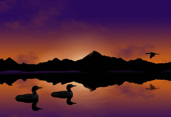 Loons Float Mountain Lake Sunset Illustration — Stock fotografie