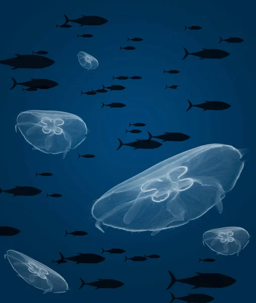 Этой Подводной Трехмерной Иллюстрации Видна Школа Туны Группа Лунных Медуз — стоковое фото