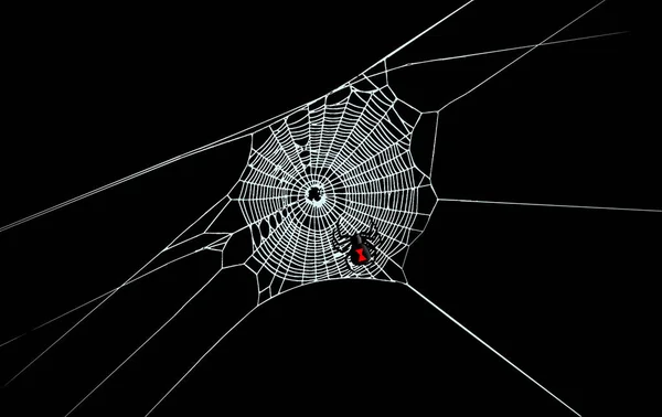 A black widow spider is seen on a spider web in this 3-d illustration.