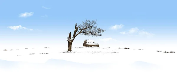 Дерево Старый Амбар Делают Интересный Снежный Пейзаж Этой Иллюстрации — стоковое фото