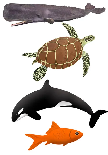 画像の要素としては クジラ アオウミガメ オルカ 金魚などが用いられています — ストック写真