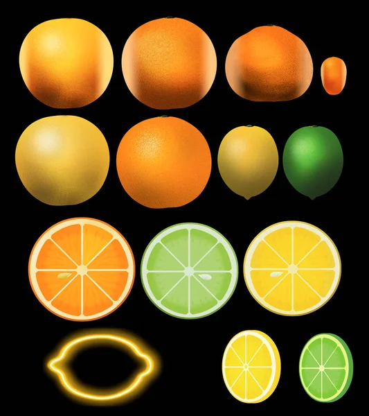 Citrusvruchten Worden Gezien Als Illustraties Geïsoleerd Achtergrond Worden Gebruikt Als — Stockfoto
