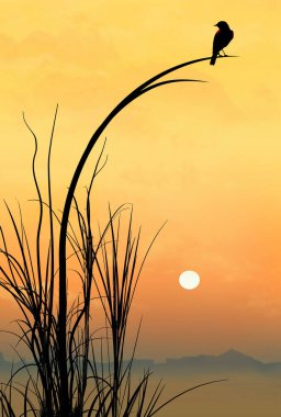 Kırmızı kanatlı siyah bir kuş, bu üç boyutlu resimde güneş batarken bir bitkinin üzerinde dinleniyor..