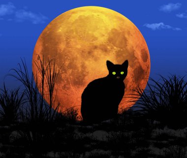 Arka planda turuncu bir dolunay olan siyah bir kedi gece görülür. Bu 3 boyutlu bir çizim..