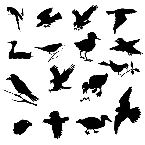 Ptaki — Wektor stockowy