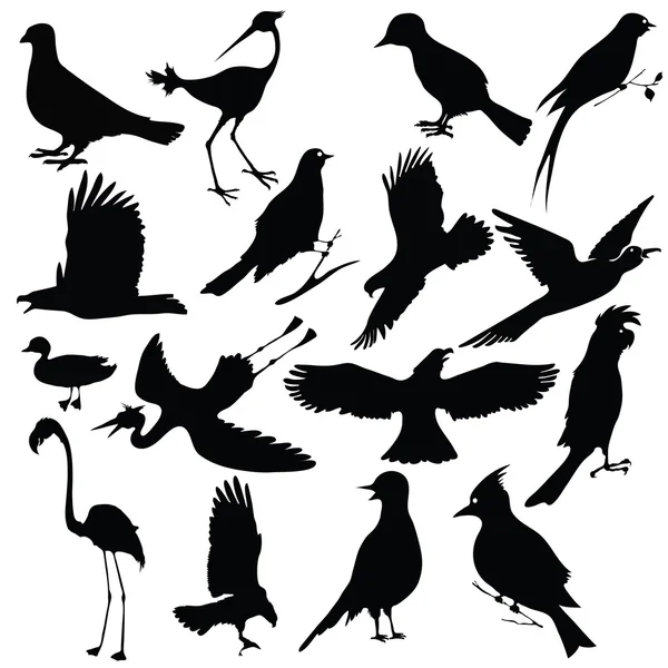 Vogels — Stockvector