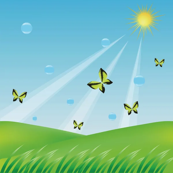 Butterflies — Stock Vector