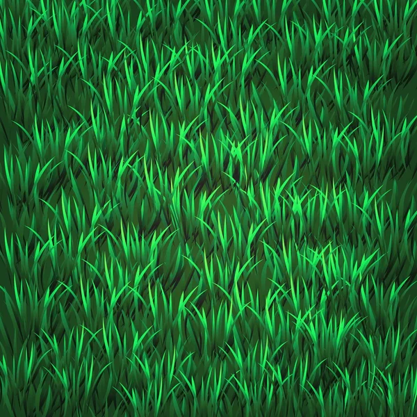 Groen gras — Stockvector