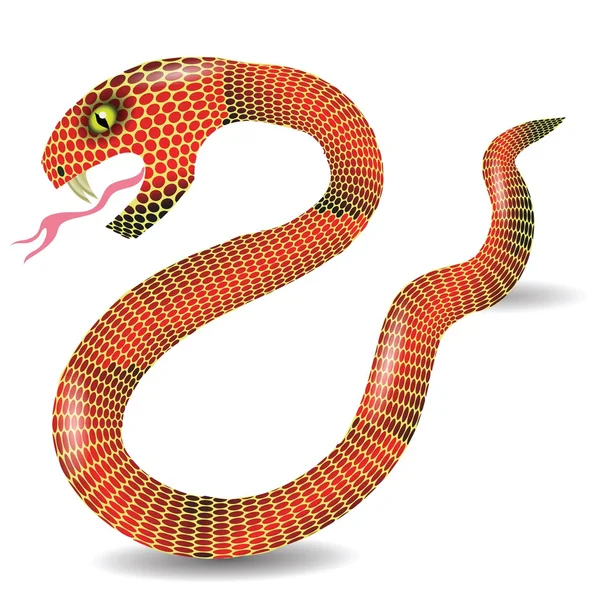 Červený had — Stockový vektor
