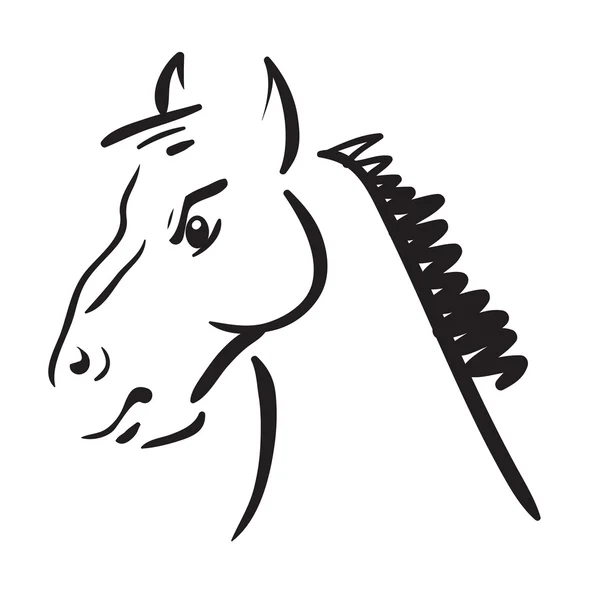 Koně na bílém pozadí — Stockový vektor