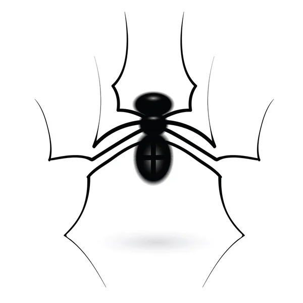 Pavouk — Stockový vektor