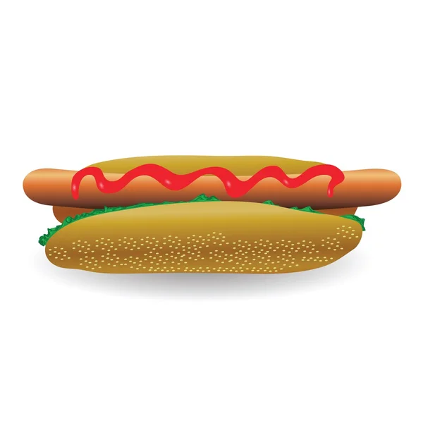 Čerstvý hot dog — Stockový vektor