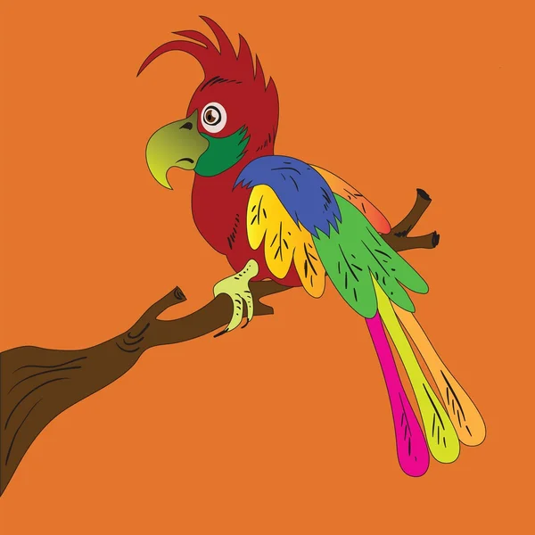 Papuga — Wektor stockowy
