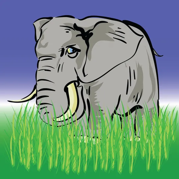 Elefante —  Vetores de Stock