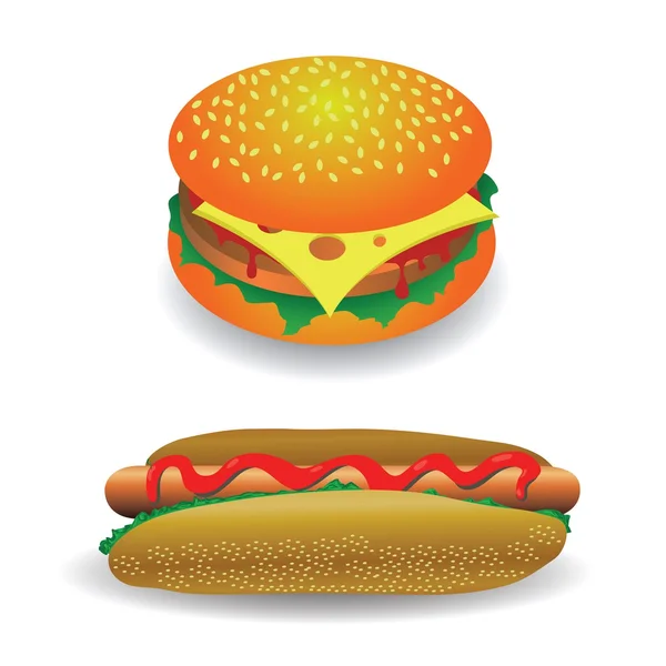 Hot dog and hamburger — Stock Vector