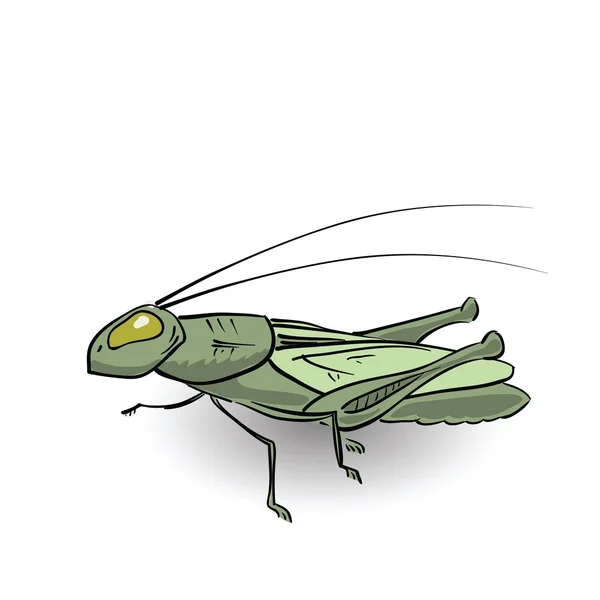 Grön gräshoppa — Stock vektor
